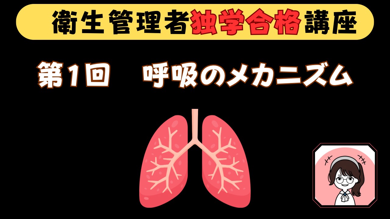 【衛生管理者独学合格講座】第１回（労働生理）呼吸について